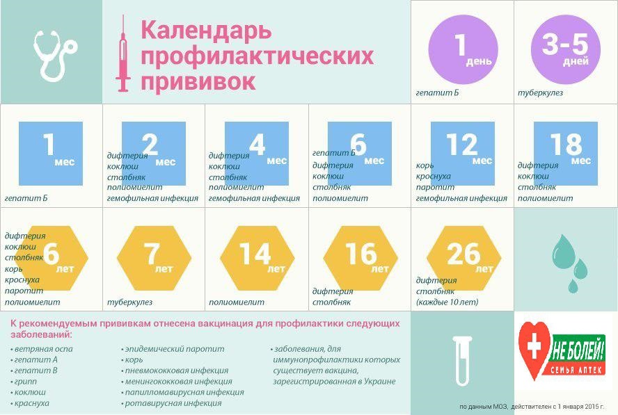 Какие прививки делают детям до года в украине 2016